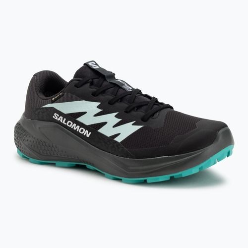 Női futócipő Salomon Alphaglide GTX hantom/urban chic/waterfall