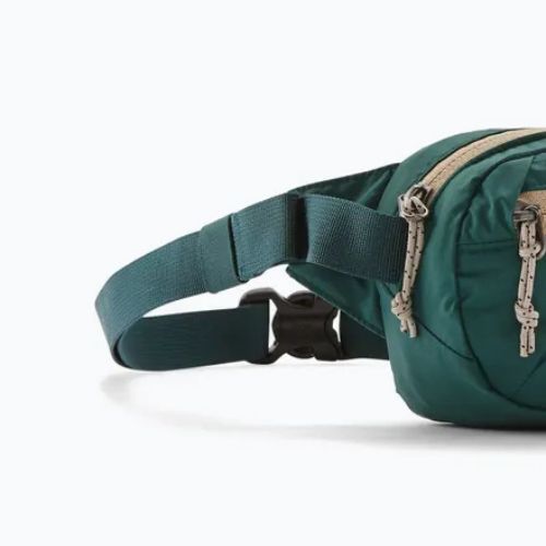 Patagonia Terravia Mini Hip Mini Hip kaszkád zöld vesetáska