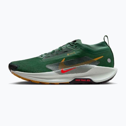Férfi futócipő Nike Pegasus Trail 5 GORE-TEX fenyő/világos bíbor/agyag zöld