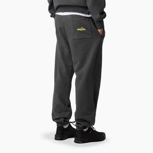 Férfi nadrág The North Face Expedition Celebration Relaxed Jogger Reg antracitszürke