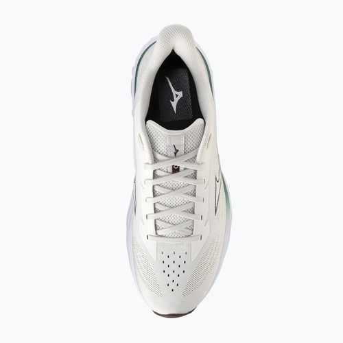 Férfi futócipő Mizuno Wave Skyrise 7 snow white/north sea/summer sand