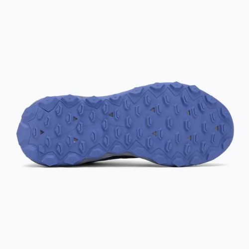 Női futócipő Mizuno Wave Ibuki 5 GTX Odyssey grey/calypso coral/iris bloom