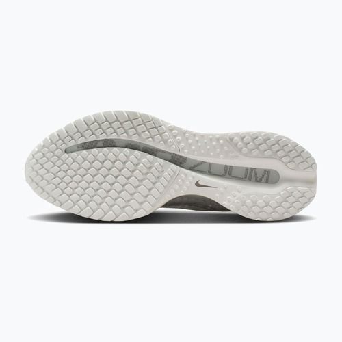 Női futócipő Nike Pegasus Premium ESS summit white/pure platinum/white