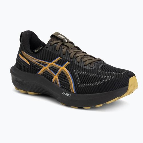 Férfi futócipő ASICS GT-1000 14 GTX black/dark cobalt