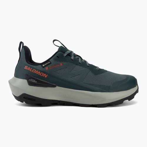 Férfi túracipő Salomon Elixir Activ GTX scarab/green gable