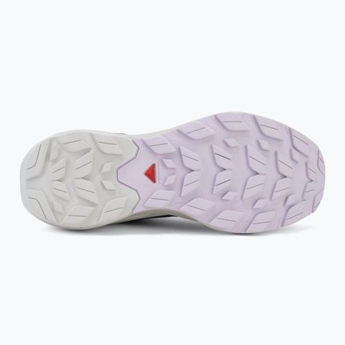 Női túracipő Salomon Elixir Activ GTX shskin/glacier gray/opetal