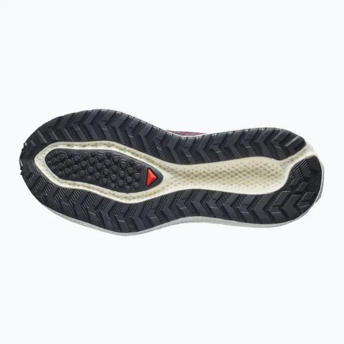 Női futócipők Salomon Aero Glide 4 GRVL huckleberry/black