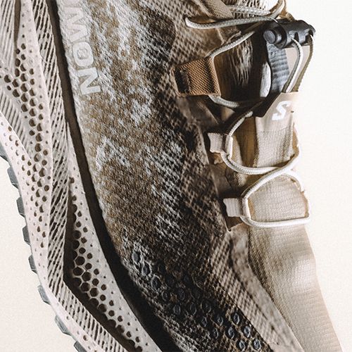 Női futócipők Salomon Aero Glide 4 GRVL tapioca/desert tan