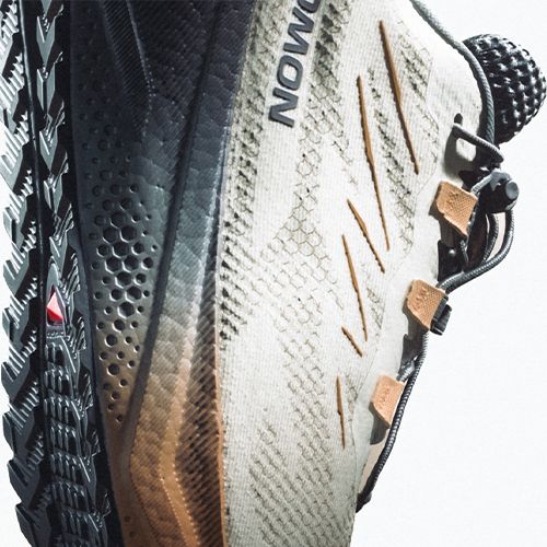 Női futócipők Salomon Aero Blaze 4 GRVL GTX vanilla ice/black