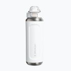 Termosz palack Stanley Classic Wellspring frost