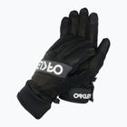 Férfi síkesztyű Oakley Factory Winter Gloves 2.0 blackout