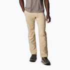 Férfi túranadrág Columbia Silver Ridge Utility ancient fossil