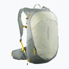 Túrahátizsák Salomon Trailblazer 20 l sedona sage/seagrass/cress green
