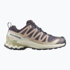 Női futócipők Salomon XA Pro 3D V9 GTX nine iron/oxford tan