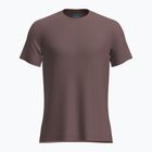 Férfi túrapóló icebreaker Merino 125 Cool-Lite Sphere III SS Tee carob heather