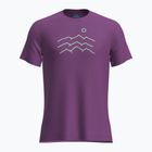 Férfi túrapóló icebreaker Merino 125 Cool-Lite Sphere Tee Across The Peaks passion
