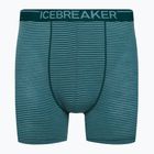 Icebreaker Anatomica Greenglory férfi thermo boxeralsó 103029
