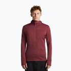 Férfi pulóver Icebreaker Merino 260 Quantum IV LS Zip Hoodie port/agate