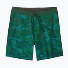 Férfi fürdősort Patagonia Hydropeak Boardshorts cliffs and coves/conifer green