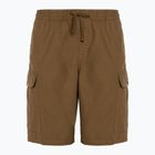 Férfi rövidnadrág Vans Range Cargo Loose Short