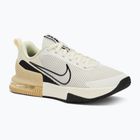 Férfi edzőcipő Nike Air Max Alpha Trainer 6 sail/coconut milk/team gold/black