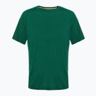 Férfi Smartwool Merino Sport 120 örökzöld termál póló