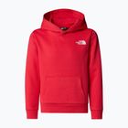 Gyermek pulóver The North Face Teen Simple Dome Hoodie hibiszkuszos The North Face Teen Simple Dome Hoodie