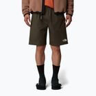 Férfi rövidnadrág The North Face Limestone new taupe green