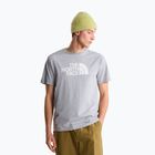 Férfi póló The North Face Evolution Half Dome tnf pale grey heather