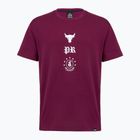 Férfi edző póló Under Armour Project Rock Terry Q3 purple