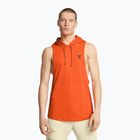 Férfi edző póló Under Armour Project Rock Payoff SL HD orange