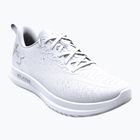 Férfi futócipő Under Armour Velociti 4 fehér/fehér/fehér