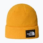 The North Face Salty Lined téli sapka