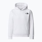 Gyermek pulóver The North Face Teen Redbox Regular P/O fehér/fekete