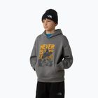 Gyerek pulóver The North Face Sports Oversized Hoodie Graphic smoked pearl