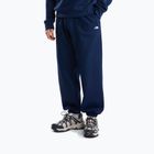Férfi pulóver The North Face Evolution Simple Dome Regular Hoodie summit navy