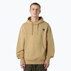 Férfi pulóver The North Face Mountain Logo Relaxed kapucnis khaki stone