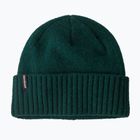 Patagonia Brodeo Beanie téli sapka kaszkád zöld
