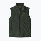 Férfi mellény Patagonia Retro Pile Fleece öreg növekedésű zöld