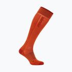 Férfi sízokni icebreaker Merino Ski+ Ultralight OTC fervid/agate