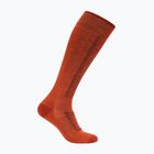 Férfi sízokni Icebreaker Merino Ski+ Medium OTC fervid/agate/java