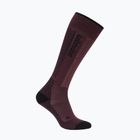 Női sízokni Icebreaker Merino Ski+ Light OTC java/black/summit