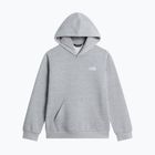 Gyerekpulóver The North Face Evolution Simple Dome Pullover Hood tnf pale grey heather