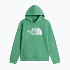 Gyerekpulóver The Noryh Face Essential Drew Peak Hoodie dimmed algae