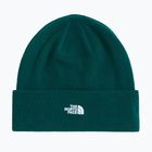 Téli sapka The North Face Norm Beanie hunter green