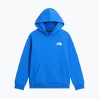 Gyerekpulóver The North Face Evolution Box NSE Pullover Hoodies active blue