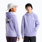 Gyerekpulóver The North Face Evolution Box NSE Pullover Hoodies pale plum