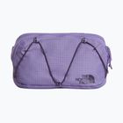 Övtáska The North Face Terra Lumbar 1 l grounded plum/endless