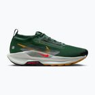 Férfi futócipő Nike Pegasus Trail 5 GORE-TEX fenyő/világos bíbor/agyag zöld
