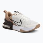 Férfi edzőcipő Nike Air Max Alpha Trainer 6 vitorla/barokk barna/kender/sivatagi por